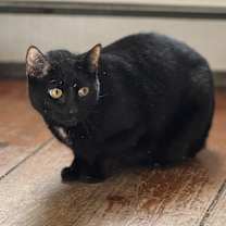 Thumbnail photo of Tyler #2