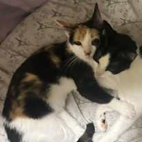 Thumbnail photo of Coco and Zizi #2