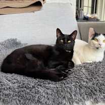 Thumbnail photo of Blanca #3