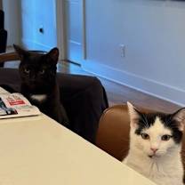 Thumbnail photo of Blanca #4