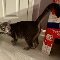 Thumbnail photo of Momma Juice #2