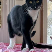 Thumbnail photo of Rigatoni #2