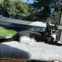 Thumbnail photo of Rigatoni #3