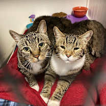 Thumbnail photo of MaGee #2