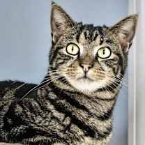 Thumbnail photo of Levi #2