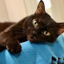 Thumbnail photo of Polly #1