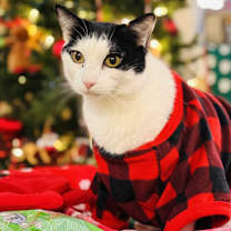 Thumbnail photo of SKY #3