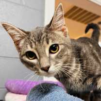 Thumbnail photo of Lee #2