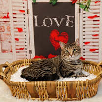 Thumbnail photo of Gabby #1