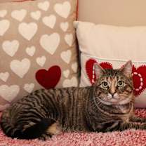 Thumbnail photo of Gabby #2