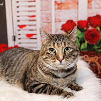 Thumbnail photo of Gabby #3