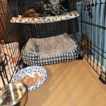 Thumbnail photo of Cagney #2