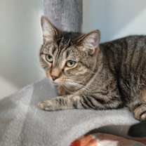 Thumbnail photo of Johnnie #1