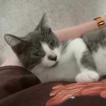 Thumbnail photo of Mars #1