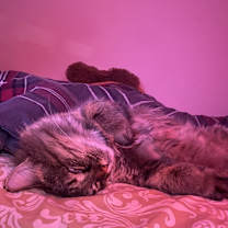 Thumbnail photo of Luna #3