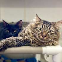 Thumbnail photo of April #4