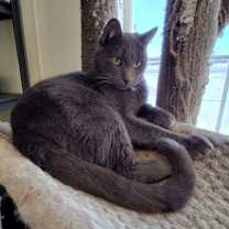 Thumbnail photo of Gino #1
