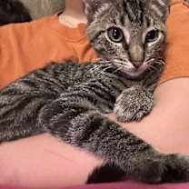 Thumbnail photo of Mazie #2