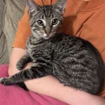 Thumbnail photo of Mazie #3