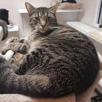 Thumbnail photo of Boyd #2
