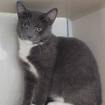 Thumbnail photo of Salt #1