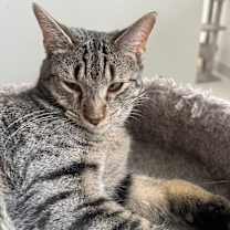 Thumbnail photo of Ezra #2