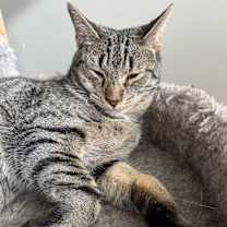 Thumbnail photo of Ezra #3