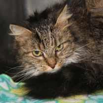 Thumbnail photo of Sophie Mae (Photos 1/4/2025) #1