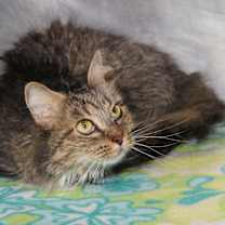 Thumbnail photo of Sophie Mae (Photos 1/4/2025) #3