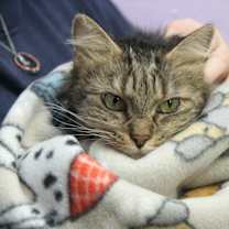 Thumbnail photo of Sophie Mae (Photos 1/4/2025) #4
