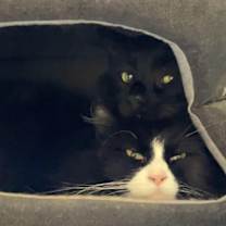 Thumbnail photo of Bullseye #3