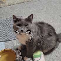 Thumbnail photo of Walter #1