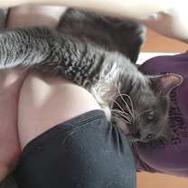 Thumbnail photo of Walter #2