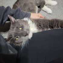 Thumbnail photo of Walter #3