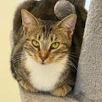 Thumbnail photo of Tiny #3