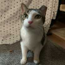 Thumbnail photo of Todd #1