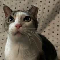 Thumbnail photo of Todd #2