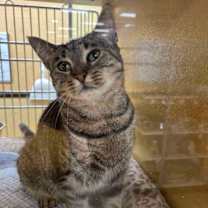 Thumbnail photo of Maddy #3