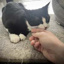 Thumbnail photo of Marisol and Maximus #4