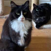 Thumbnail photo of Lydia #3