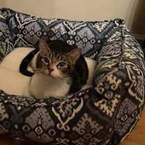 Thumbnail photo of Mama Loofah #1