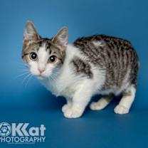 Thumbnail photo of Rocket #1