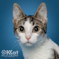 Thumbnail photo of Rocket #3