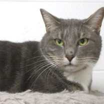 Thumbnail photo of 5127 Winkum #4