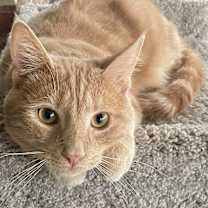 Thumbnail photo of Ridge #1