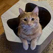 Thumbnail photo of Ridge #2