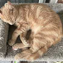 Thumbnail photo of Ridge #4