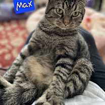 Thumbnail photo of Max #1