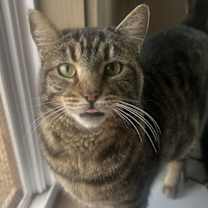 Thumbnail photo of CAROLINE #1