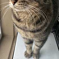 Thumbnail photo of CAROLINE #2